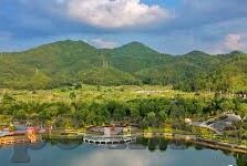苏比萨雷塔世界杯出场-苏比萨雷塔，世界杯舞台上的传奇出场